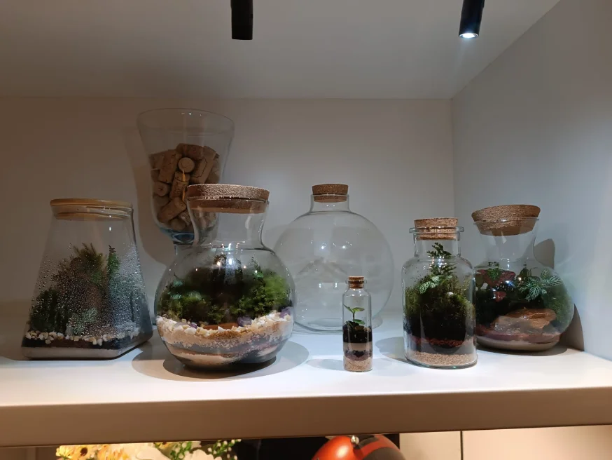 Terrário em ambiente